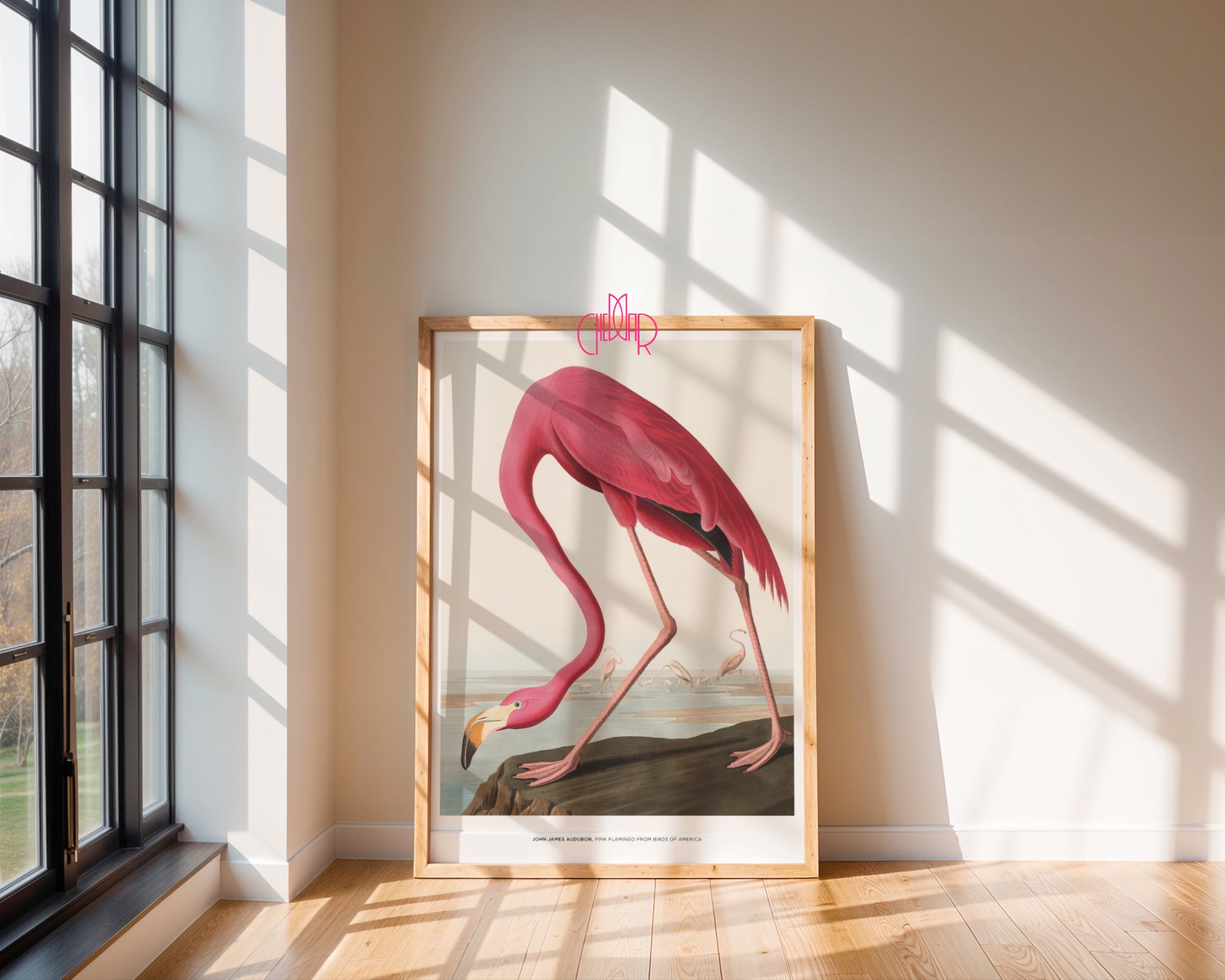 John James Audubon – Flaming Różowy