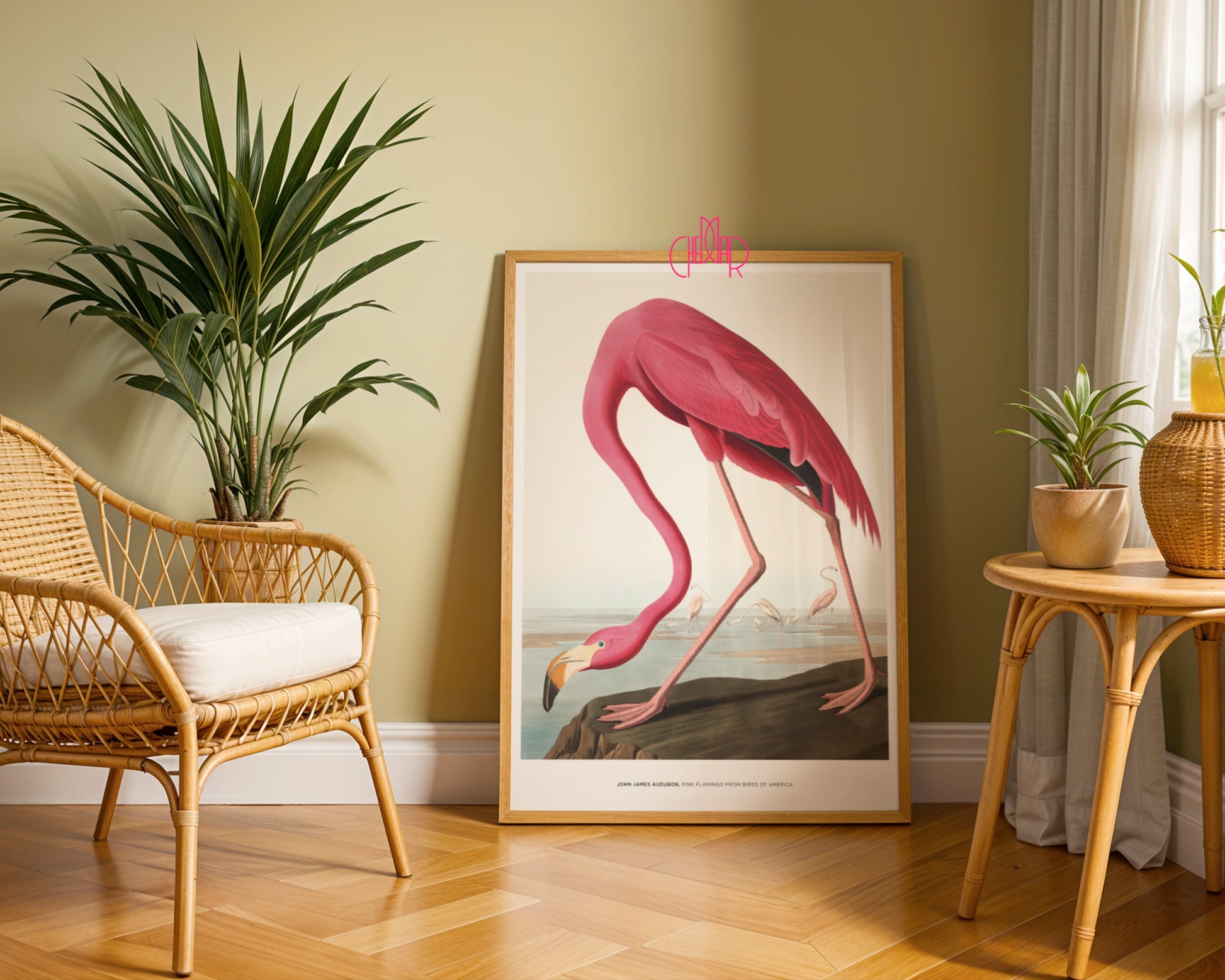 John James Audubon – Flaming Różowy