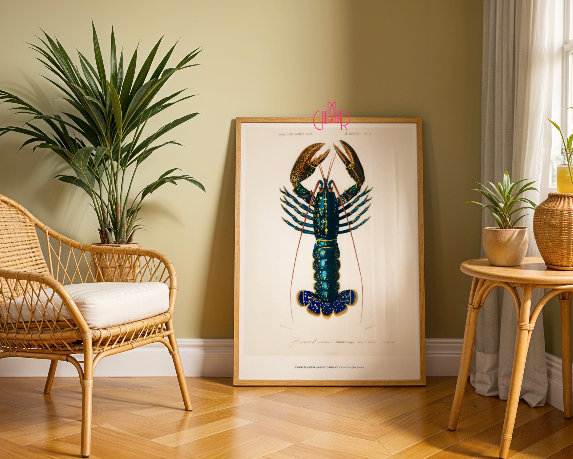 Charles Dessalines d'Orbigny – Homar (Crimson Crawfish)