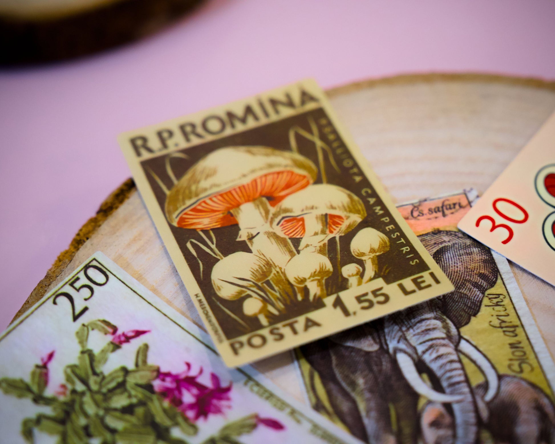Zestaw naklejek inspirowanych sztuką japońską- wspaniała dekoracja, sztuka, 10 sztuk.