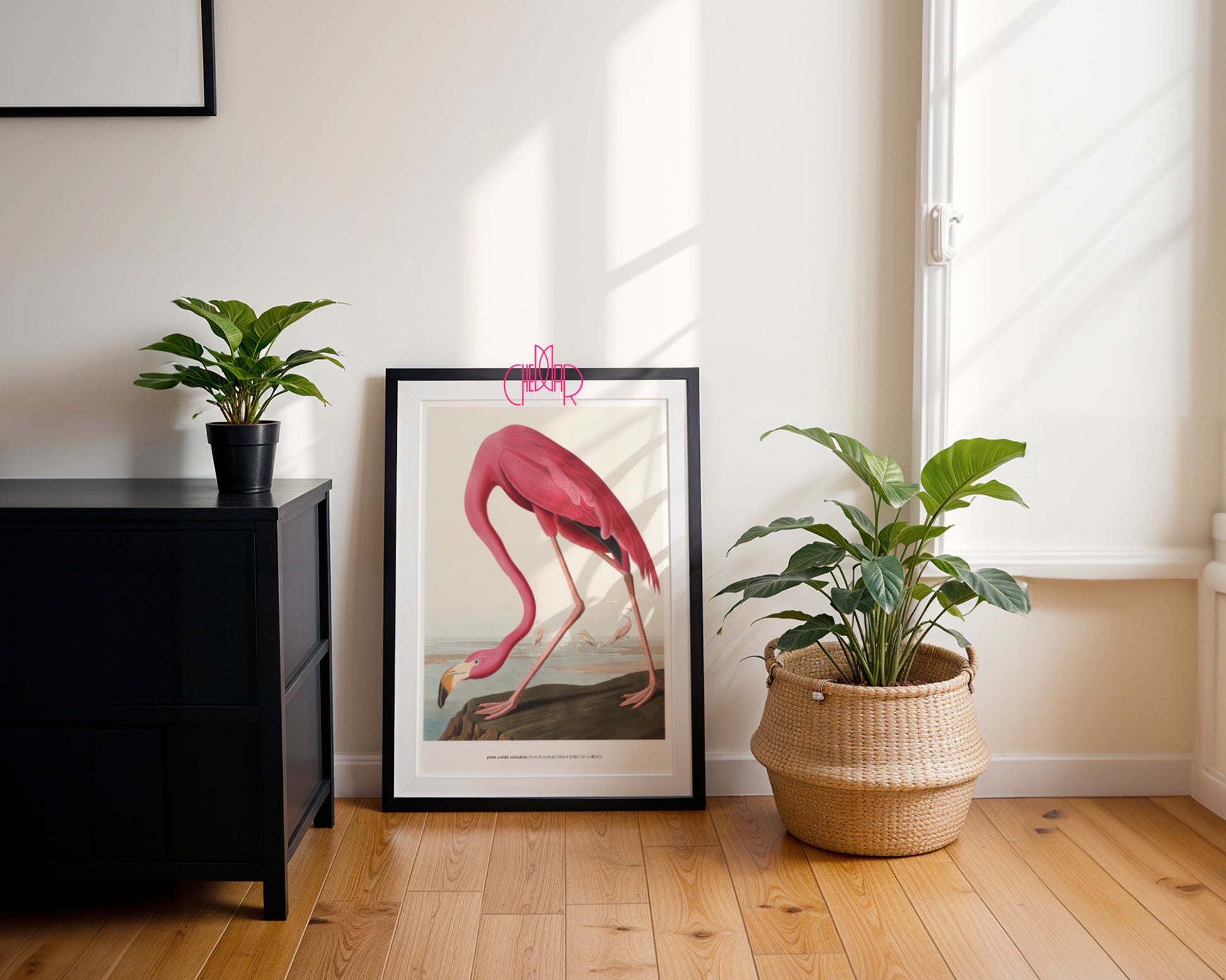 John James Audubon – Flaming Różowy