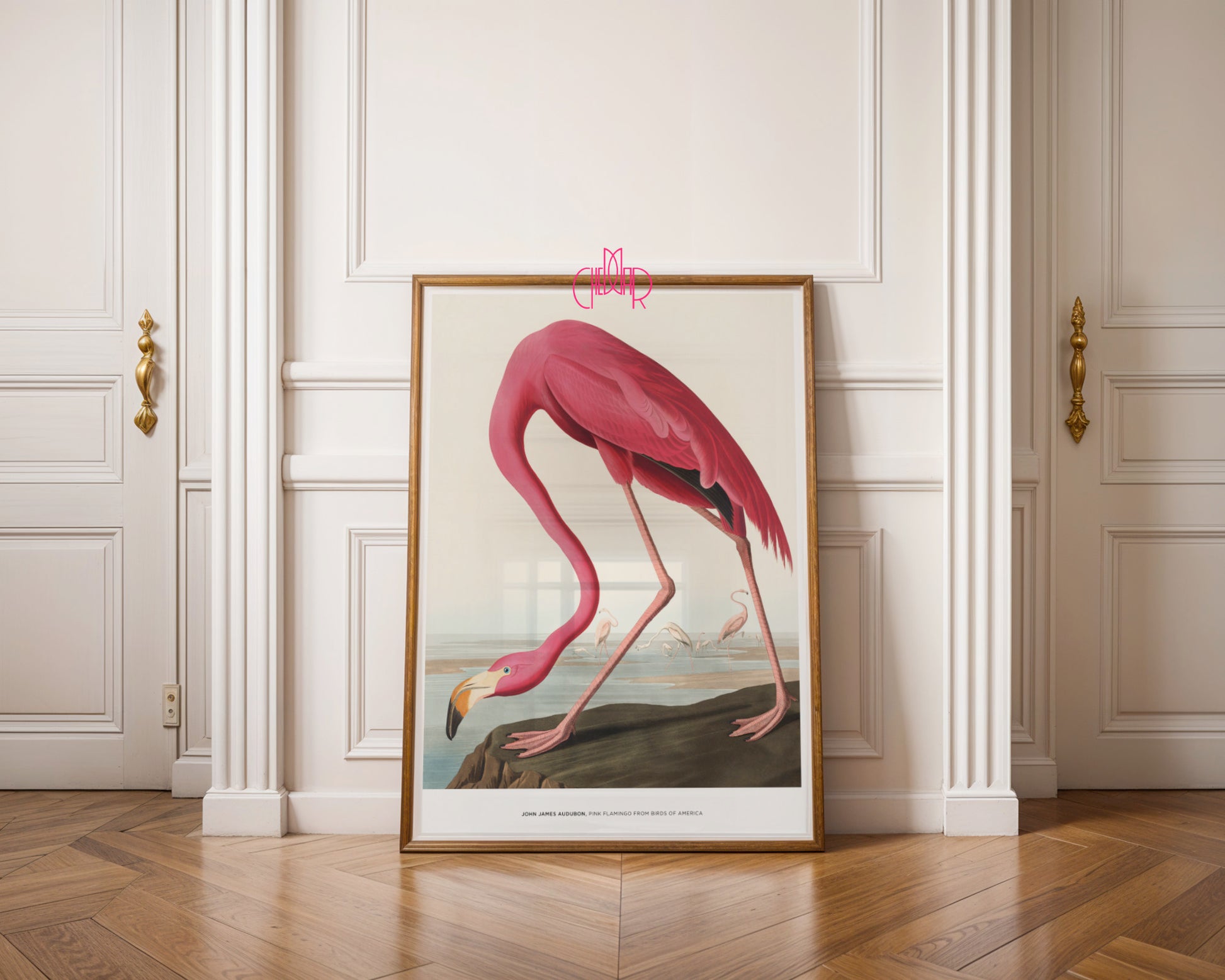 John James Audubon – Flaming Różowy