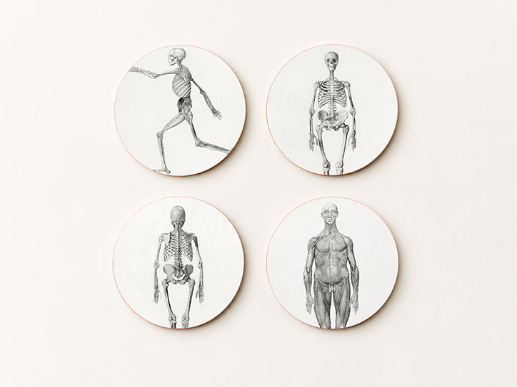 Zestaw Podkładek pod Kubki George Stubbs Human Skeleton — 4 Ryciny Anatomiczne | Cheddar Art