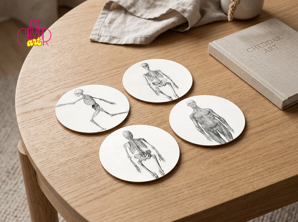 Zestaw Podkładek pod Kubki George Stubbs Human Skeleton — 4 Ryciny Anatomiczne | Cheddar Art