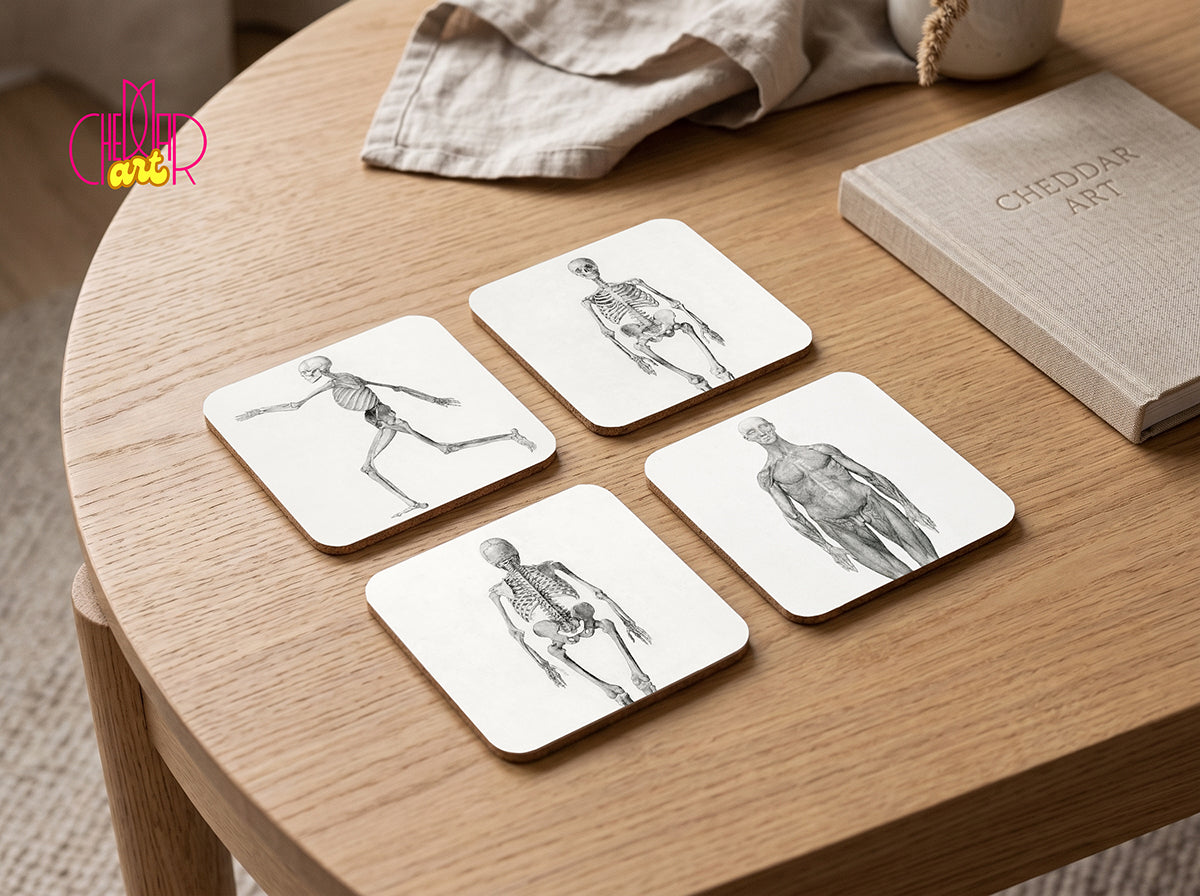 Zestaw Podkładek pod Kubki George Stubbs Human Skeleton — 4 Ryciny Anatomiczne | Cheddar Art