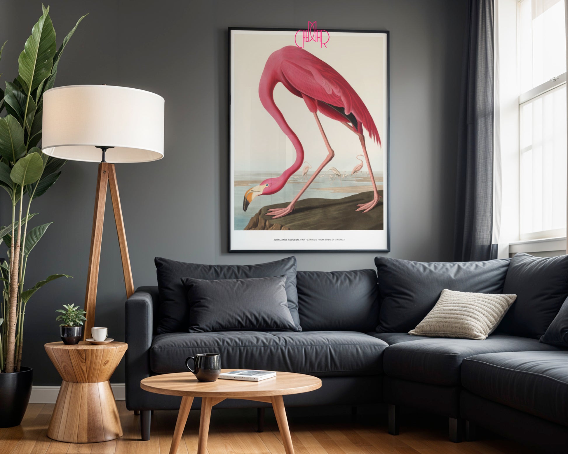 John James Audubon – Flaming Różowy